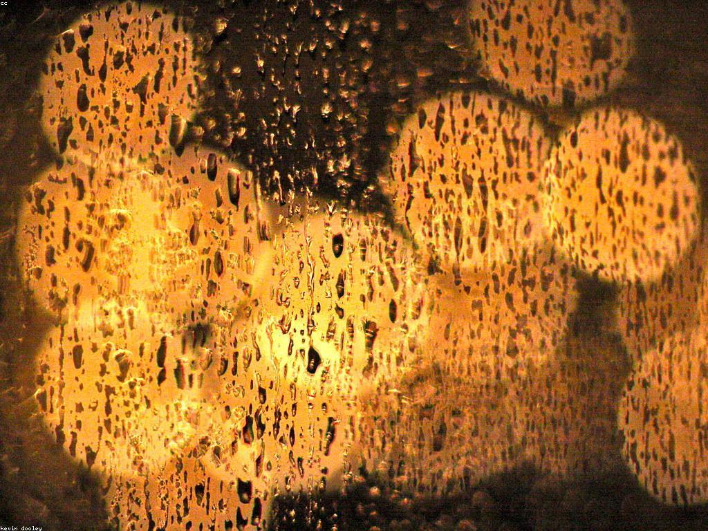 វិធីសាស្ត្របង្កើតឱកាសសម្រាប់ជោគជ័យ